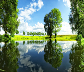 İncildə yaradılışla bağlı ifadələr