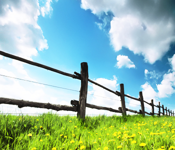 İncildə yaradılışla bağlı ifadələr