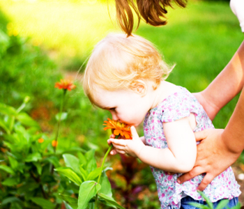 İncildə yaradılışla bağlı ifadələr